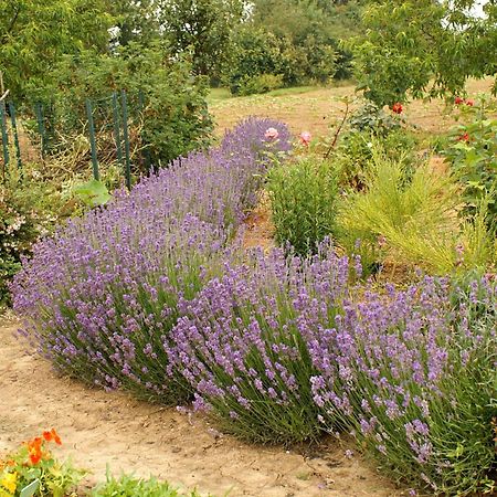 Au Pichet Bed and Breakfast Saint-Orens Kamer foto