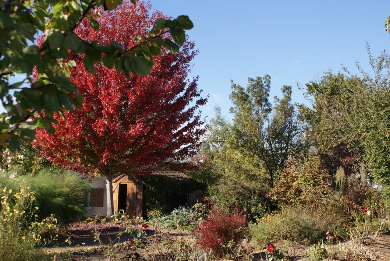 Au Pichet Bed and Breakfast Saint-Orens Buitenkant foto