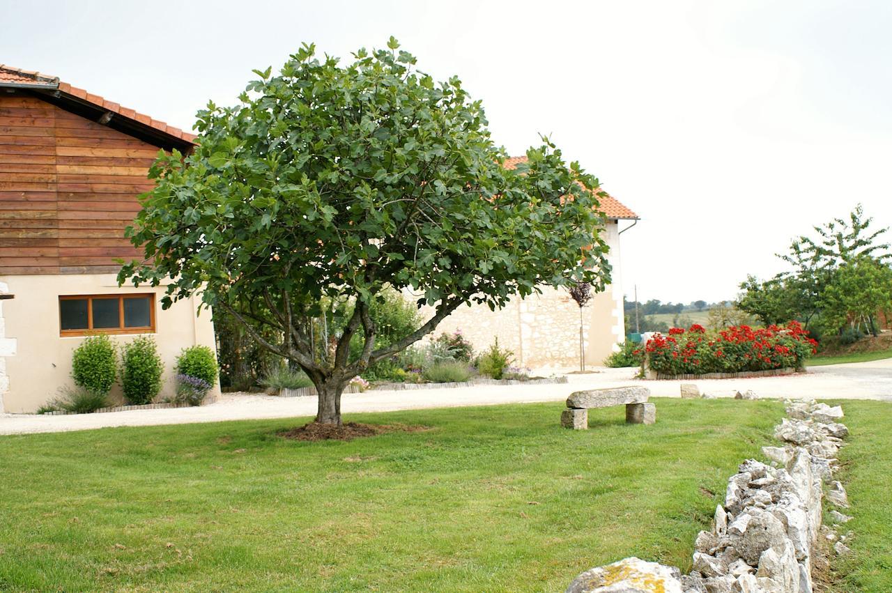 Au Pichet Bed and Breakfast Saint-Orens Buitenkant foto